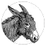 GitHub Avatar for Boldewyn