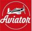 Open Collective Avatar for Aviator Game