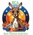 Open Collective Avatar for Best Casinos Australia - BCA